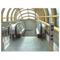 Public Transport Heavy Duty Escalator for Railway Station and Subway